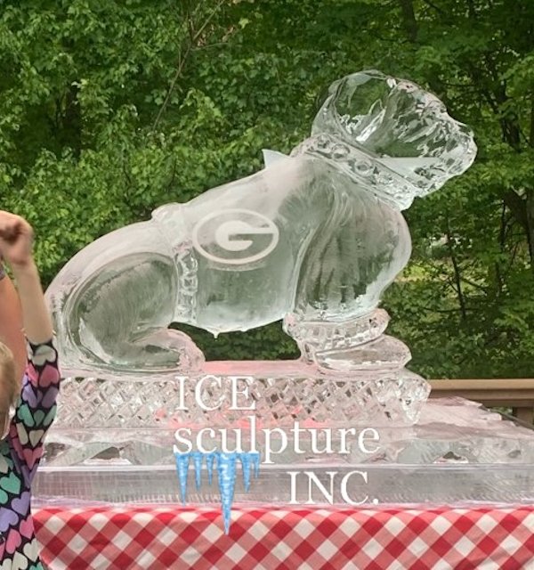 https://www.icesculptureinc.com/ice-luges-gallery/slides/3D%20UGA%20Luge.jpg